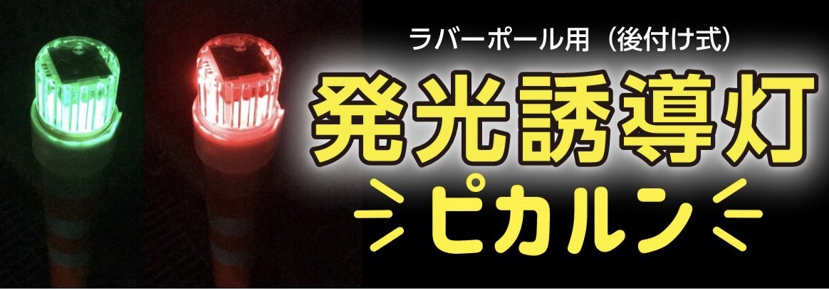 ピカルンに関する画像